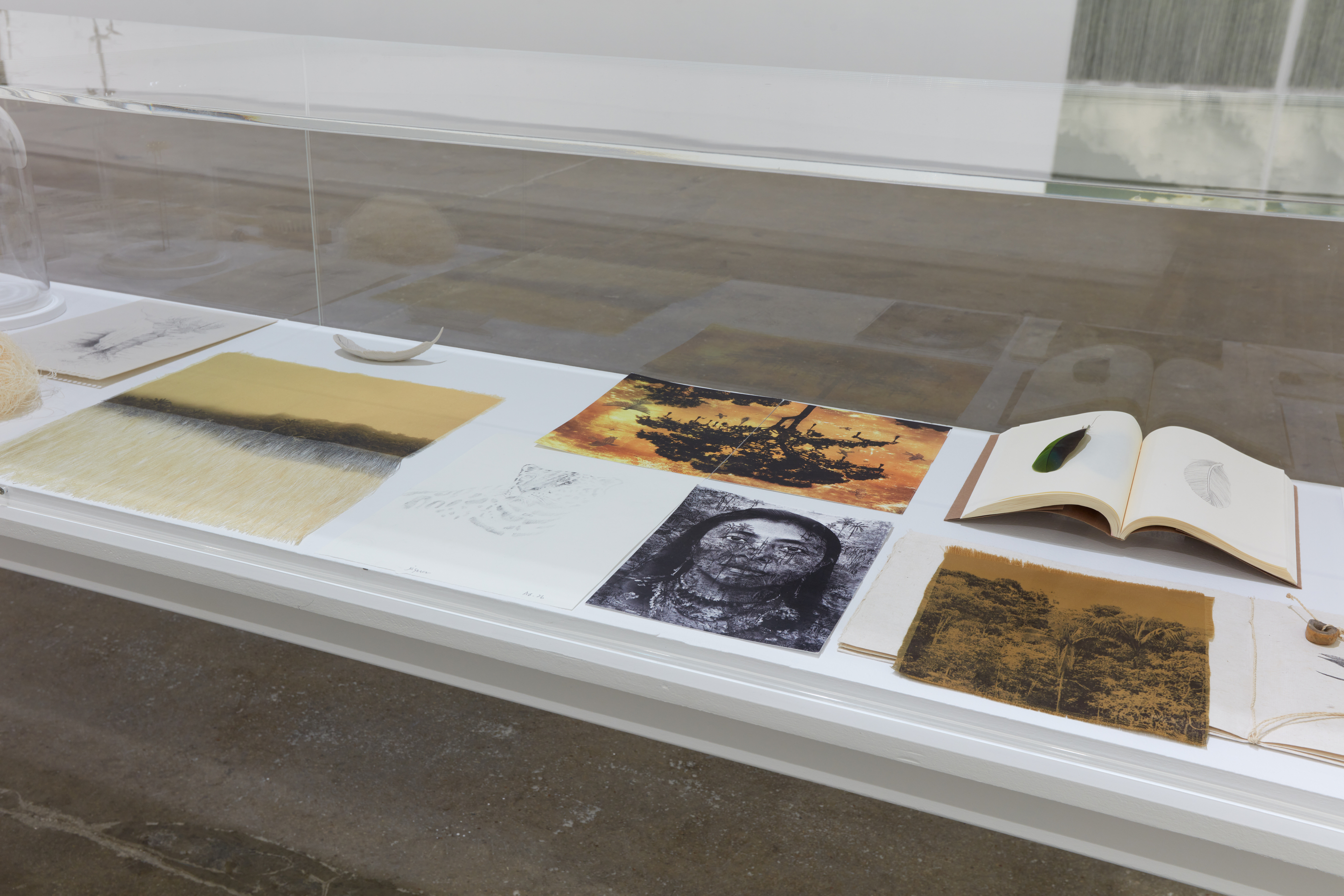 Installation view of&nbsp;Ana Gonz&aacute;lez: R&Iacute;O at Sean Kelly, New York, February 27 &ndash; April 11, 2026, Photography: Jason Wyche, Courtesy: Sean Kelly, New York