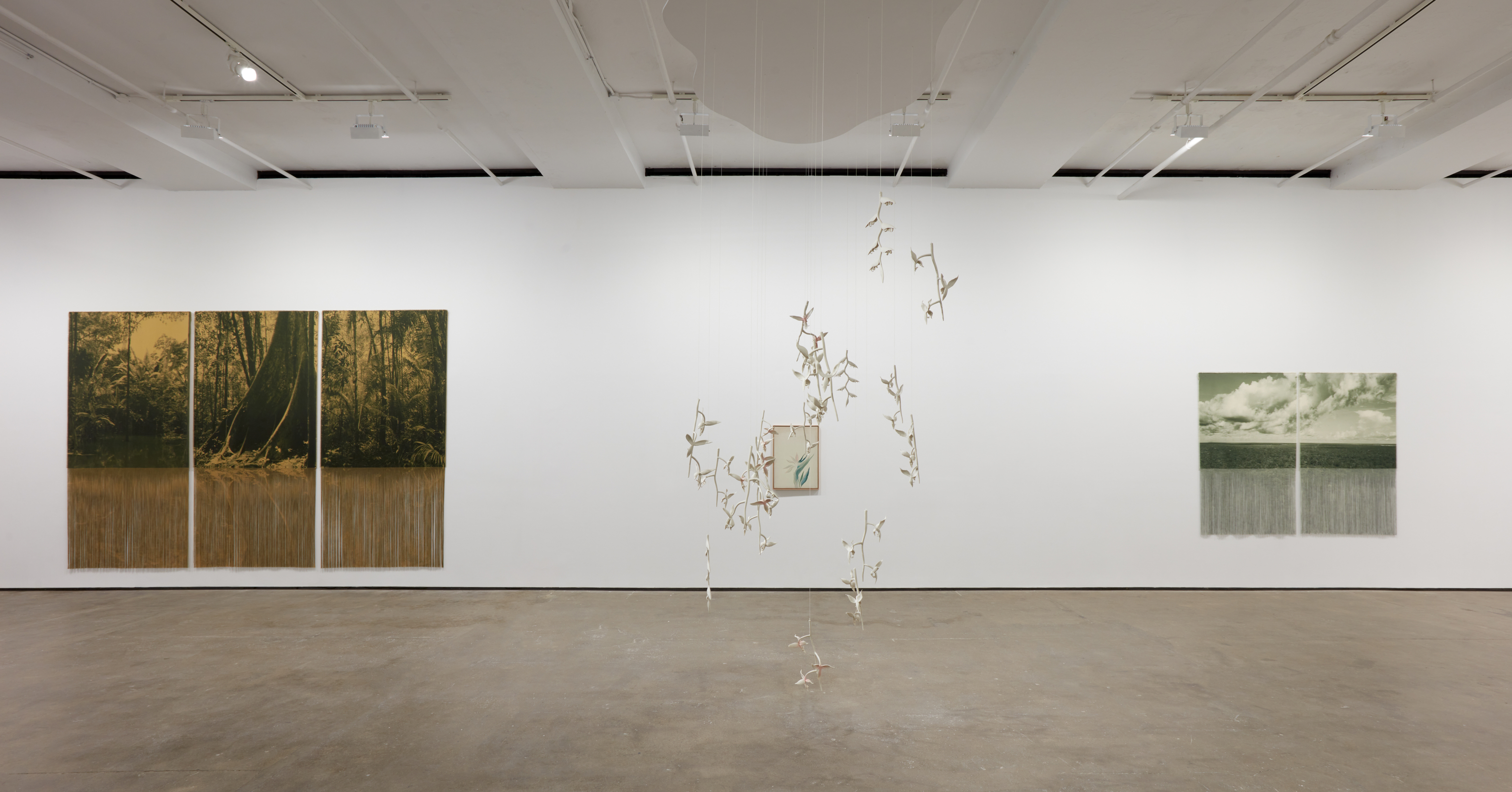 Installation view of&nbsp;Ana Gonz&aacute;lez: R&Iacute;O at Sean Kelly, New York, February 27 &ndash; April 11, 2026, Photography: Jason Wyche, Courtesy: Sean Kelly, New York