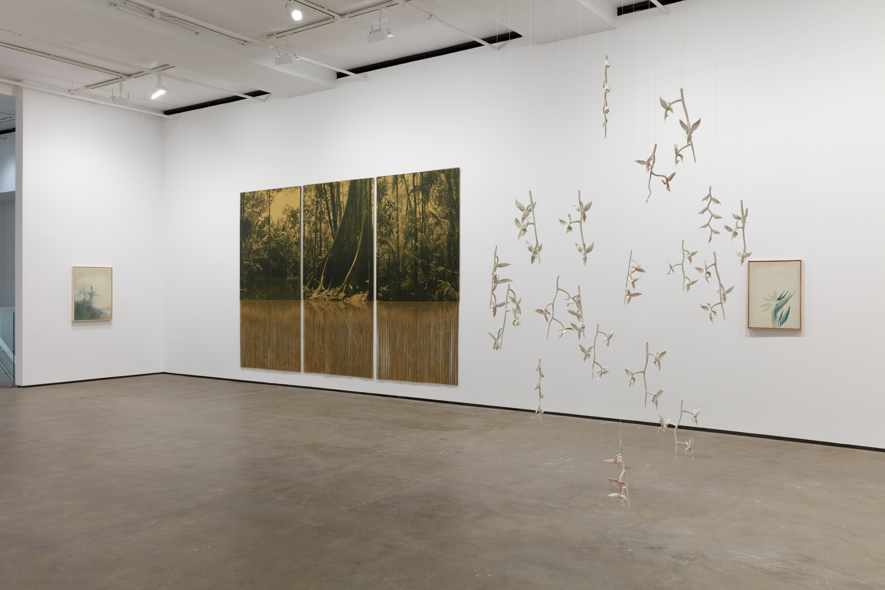 Installation view of&nbsp;Ana Gonz&aacute;lez: R&Iacute;O at Sean Kelly, New York, February 27 &ndash; April 11, 2026, Photography: Jason Wyche, Courtesy: Sean Kelly, New York