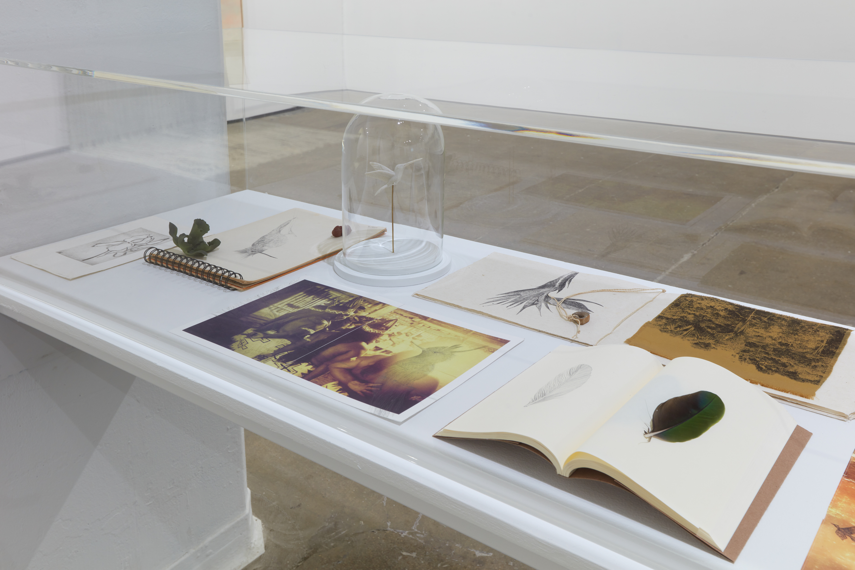 Installation view of&nbsp;Ana Gonz&aacute;lez: R&Iacute;O at Sean Kelly, New York, February 27 &ndash; April 11, 2026, Photography: Jason Wyche, Courtesy: Sean Kelly, New York