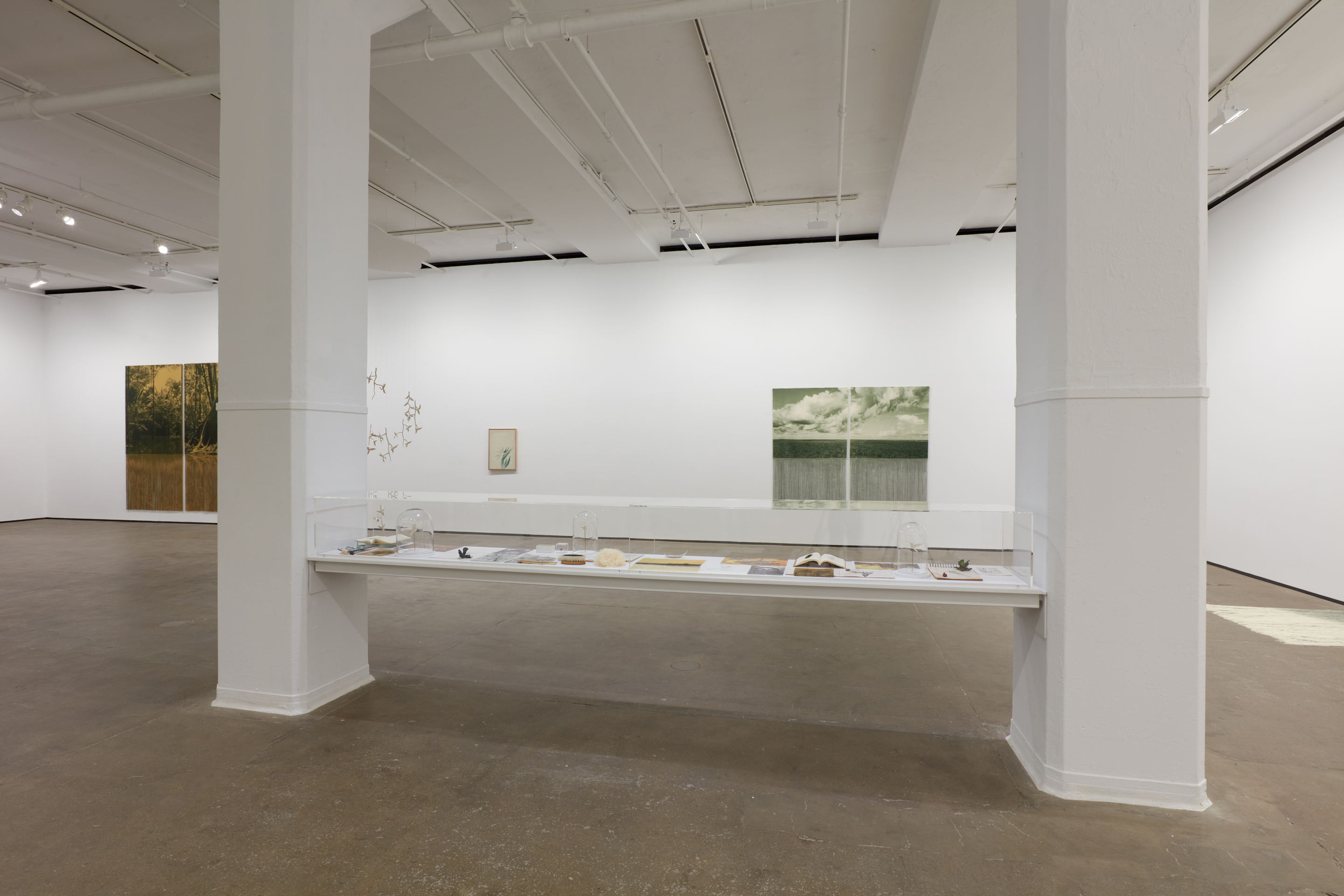 Installation view of&nbsp;Ana Gonz&aacute;lez: R&Iacute;O at Sean Kelly, New York, February 27 &ndash; April 11, 2026, Photography: Jason Wyche, Courtesy: Sean Kelly, New York