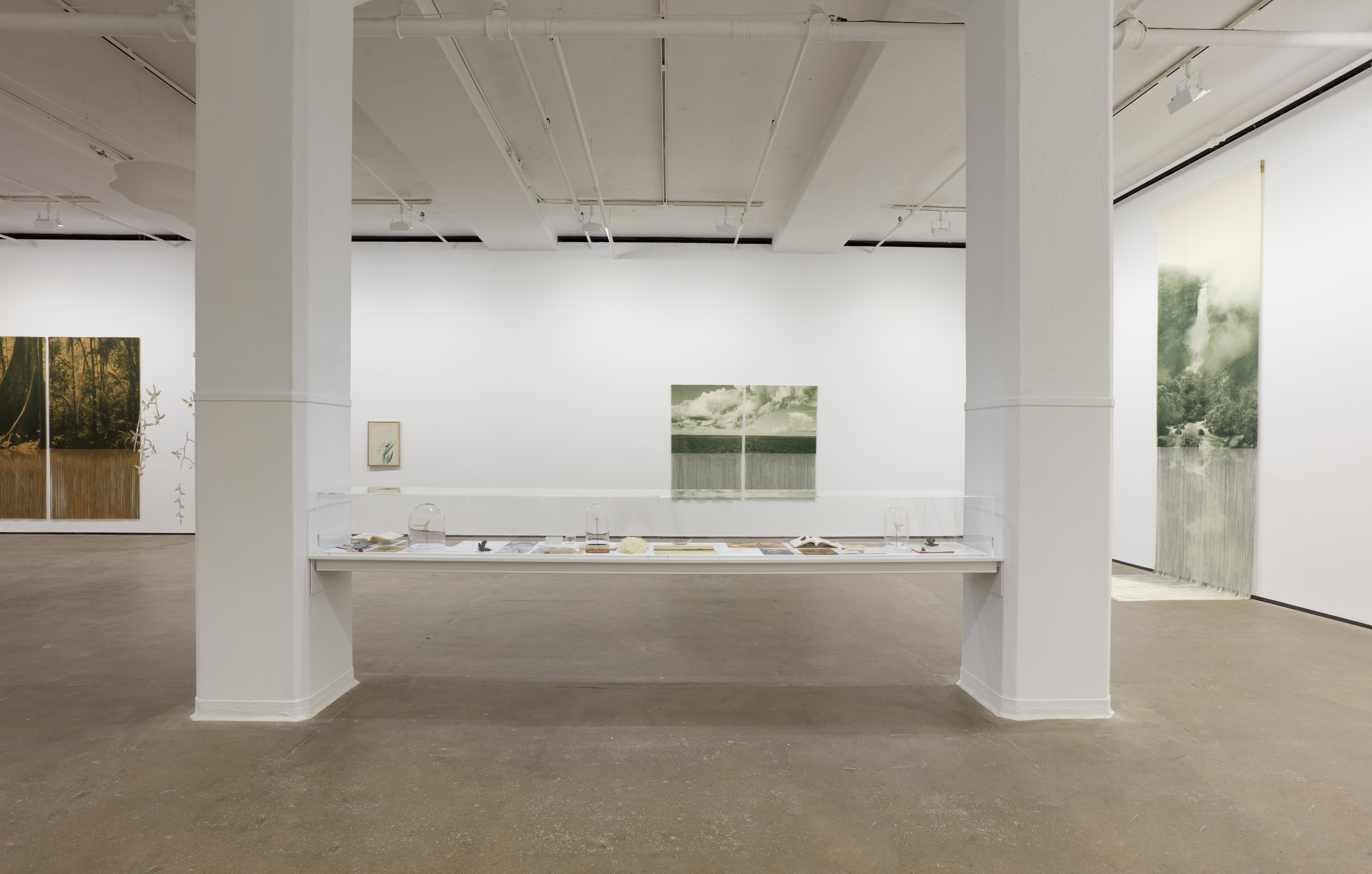 Installation view of&nbsp;Ana Gonz&aacute;lez: R&Iacute;O at Sean Kelly, New York, February 27 &ndash; April 11, 2026, Photography: Jason Wyche, Courtesy: Sean Kelly, New York