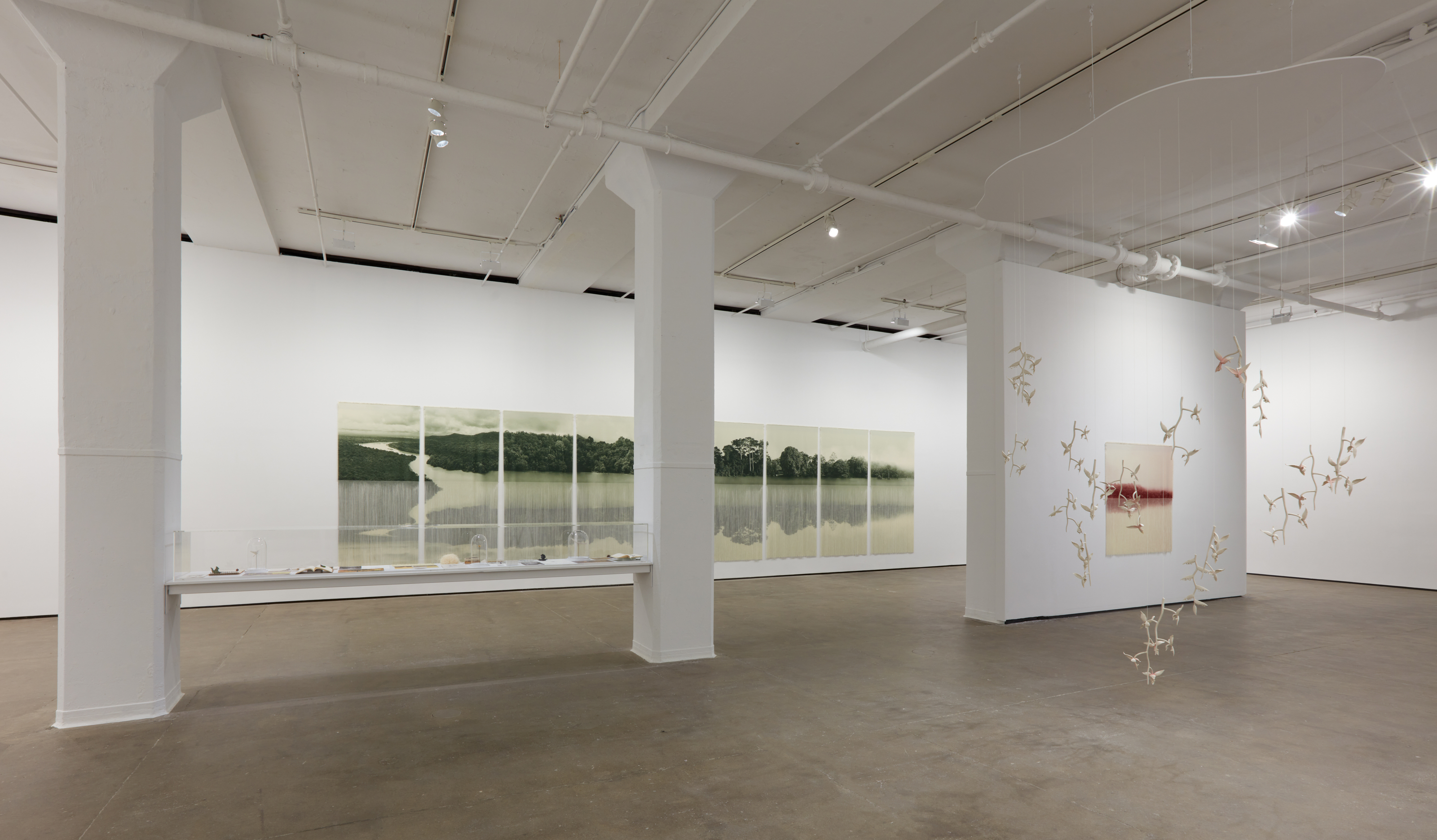 Installation view of&nbsp;Ana Gonz&aacute;lez: R&Iacute;O at Sean Kelly, New York, February 27 &ndash; April 11, 2026, Photography: Jason Wyche, Courtesy: Sean Kelly, New York