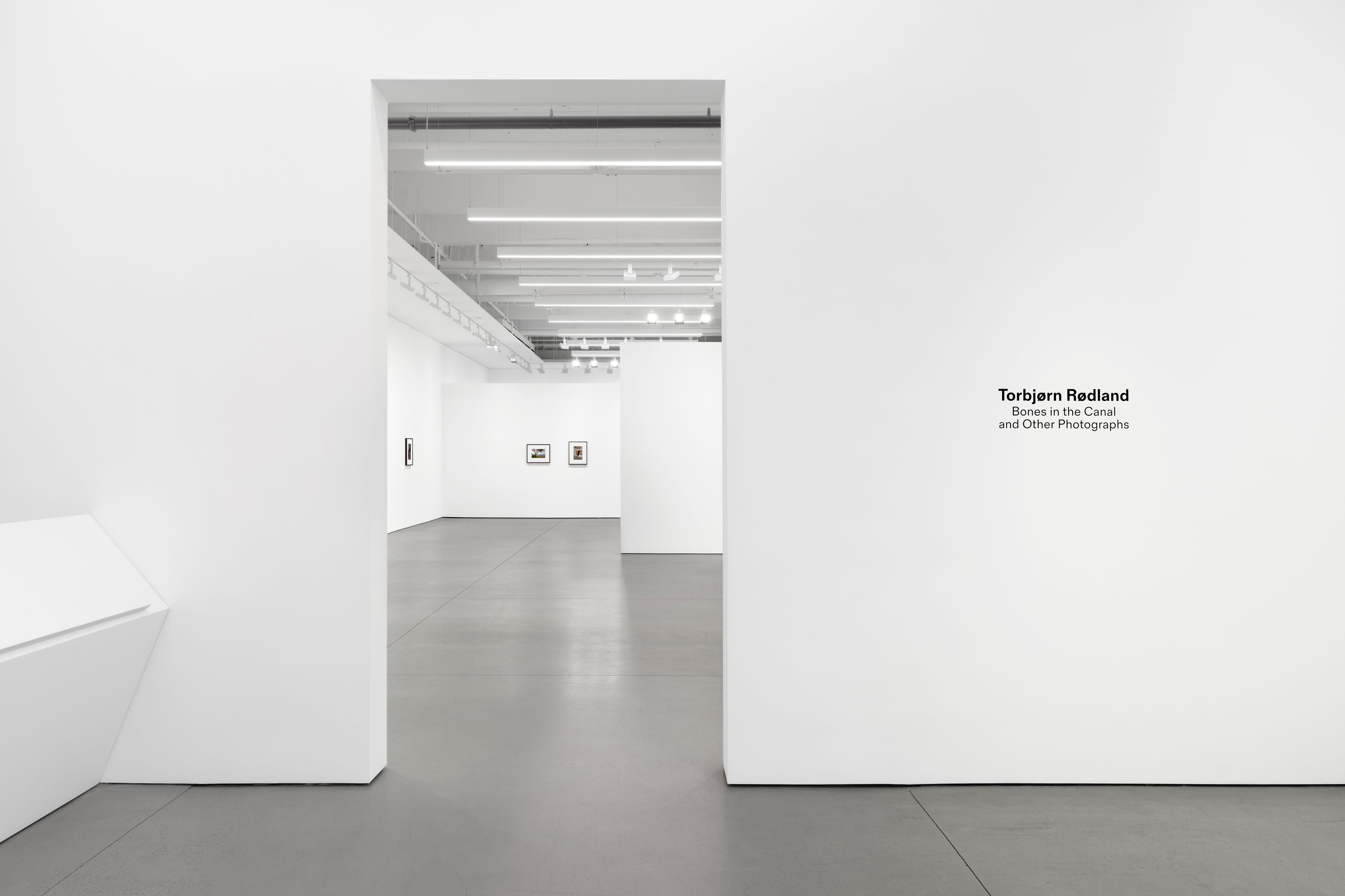 Torbj&oslash;rn R&oslash;dland