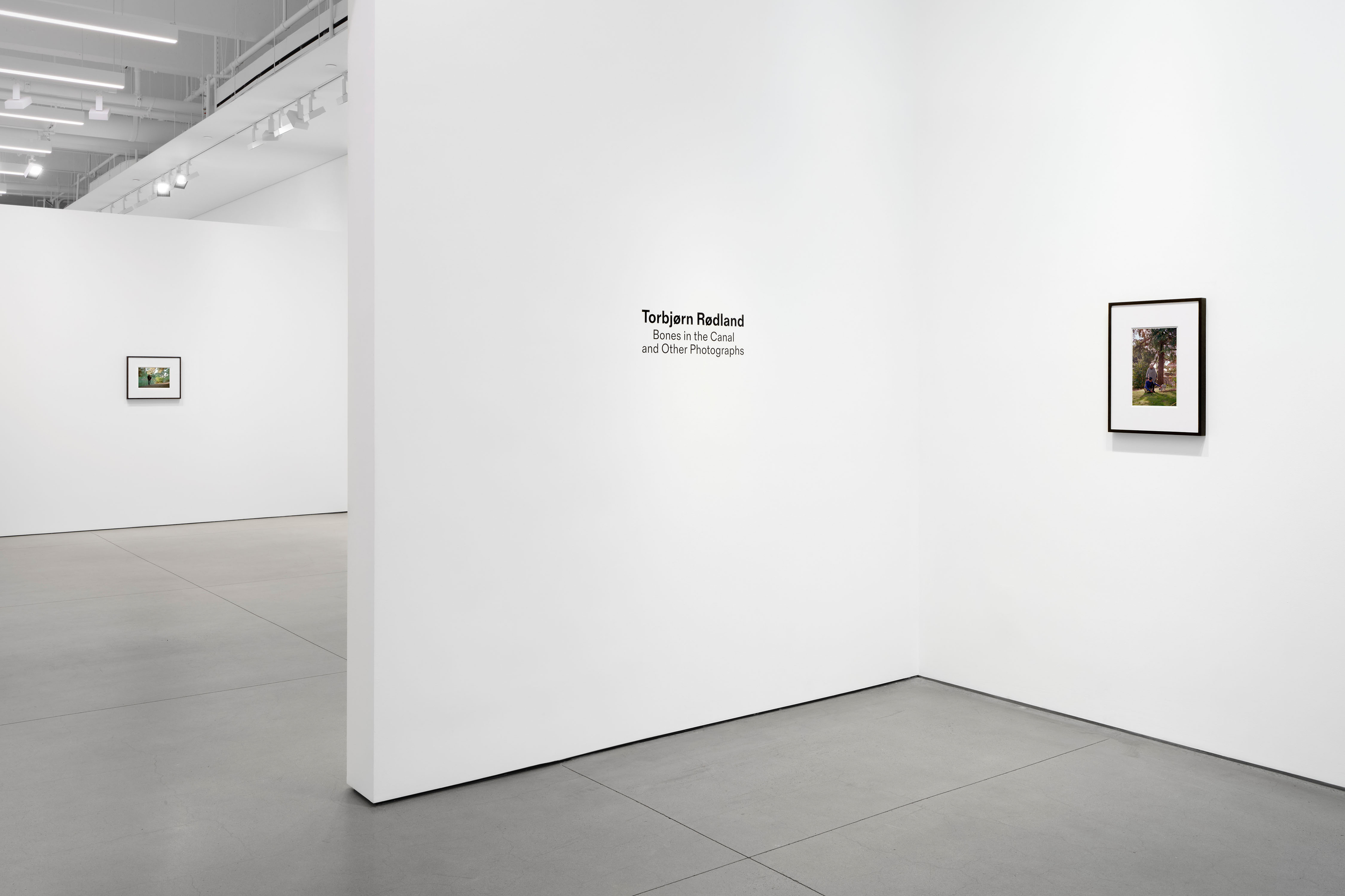 Torbj&oslash;rn R&oslash;dland