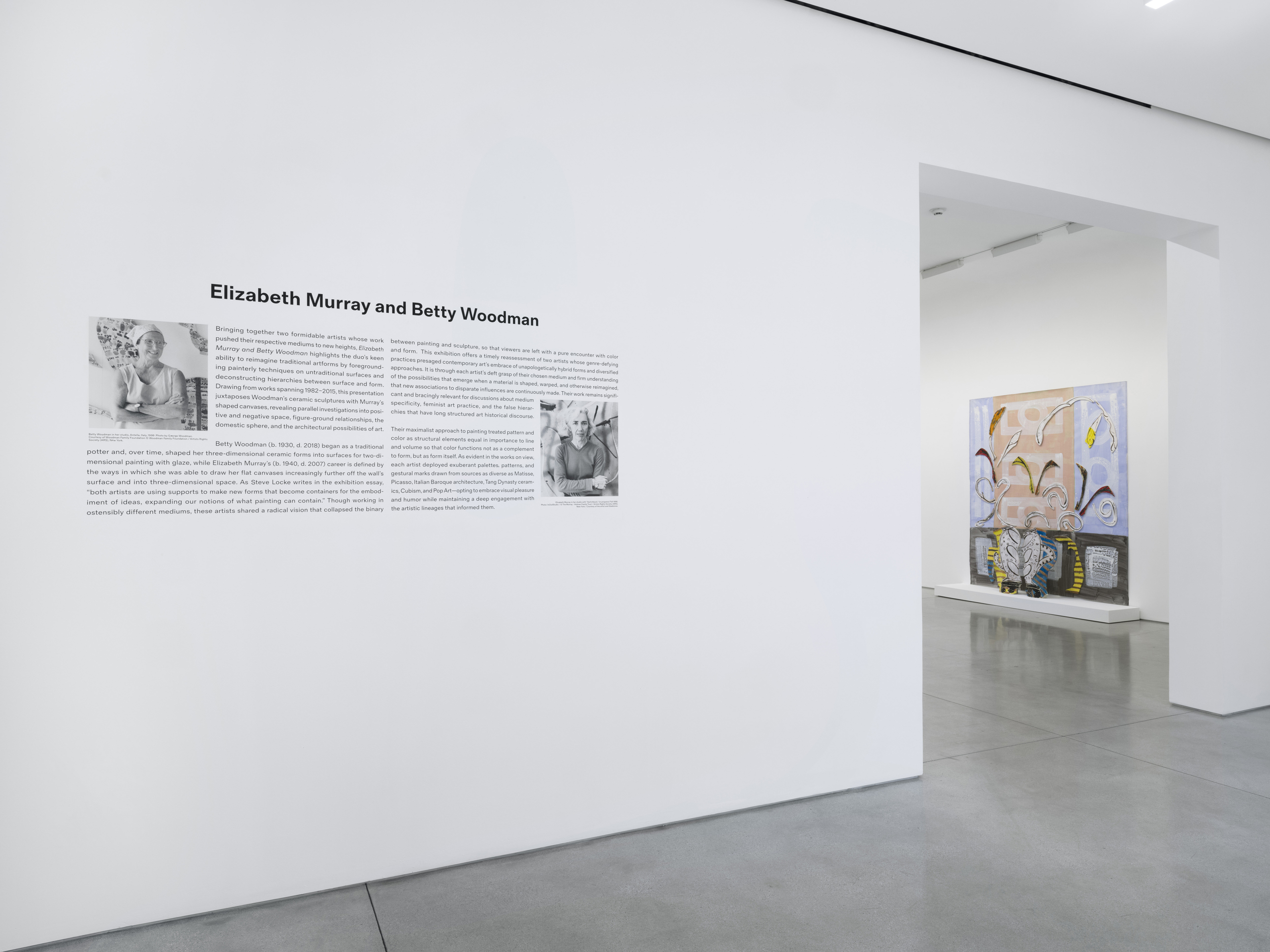 Elizabeth Murray and Betty Woodman