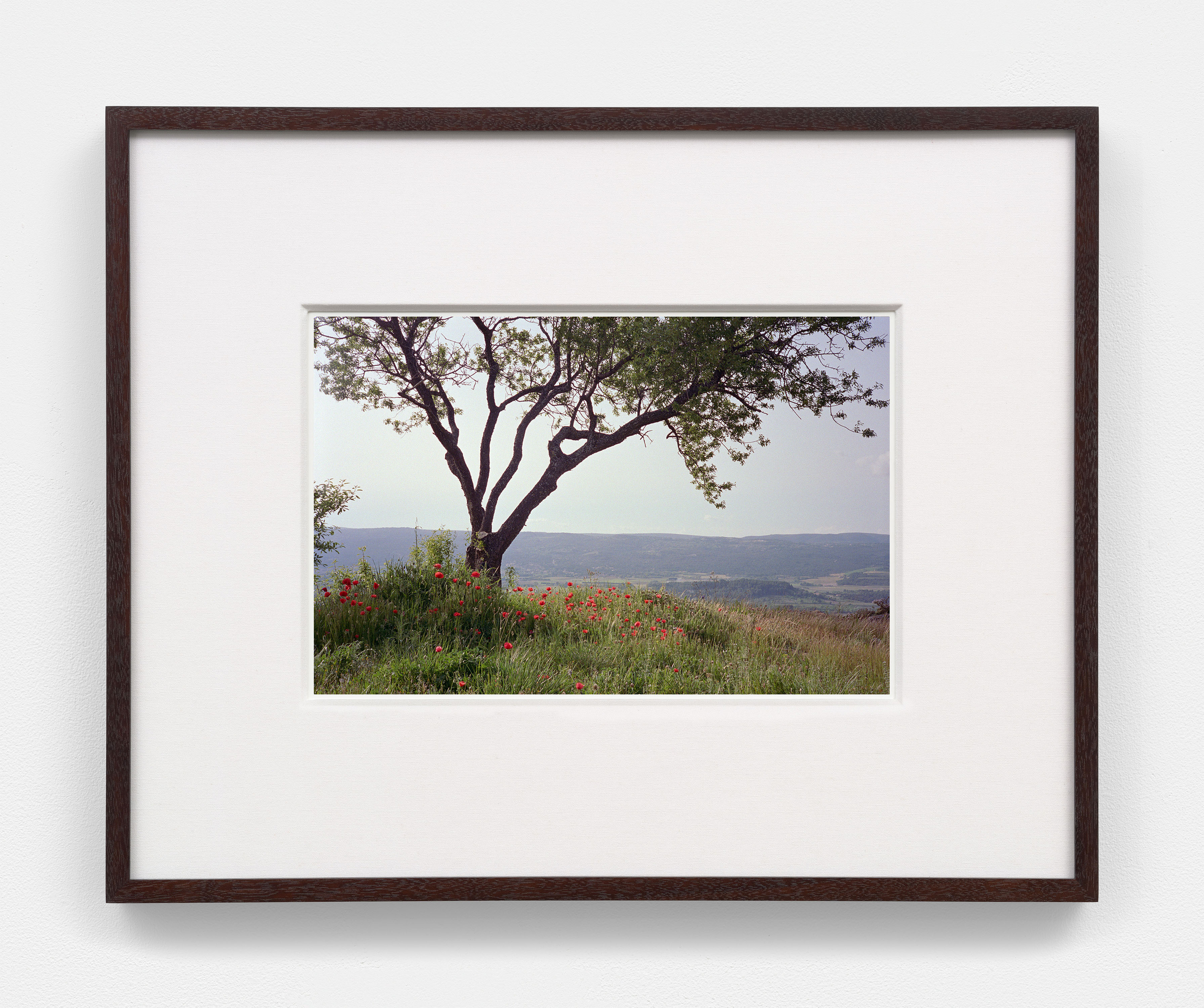 Torbj&oslash;rn R&oslash;dland, We Have Sinned So Greatly, 2024 - 2026