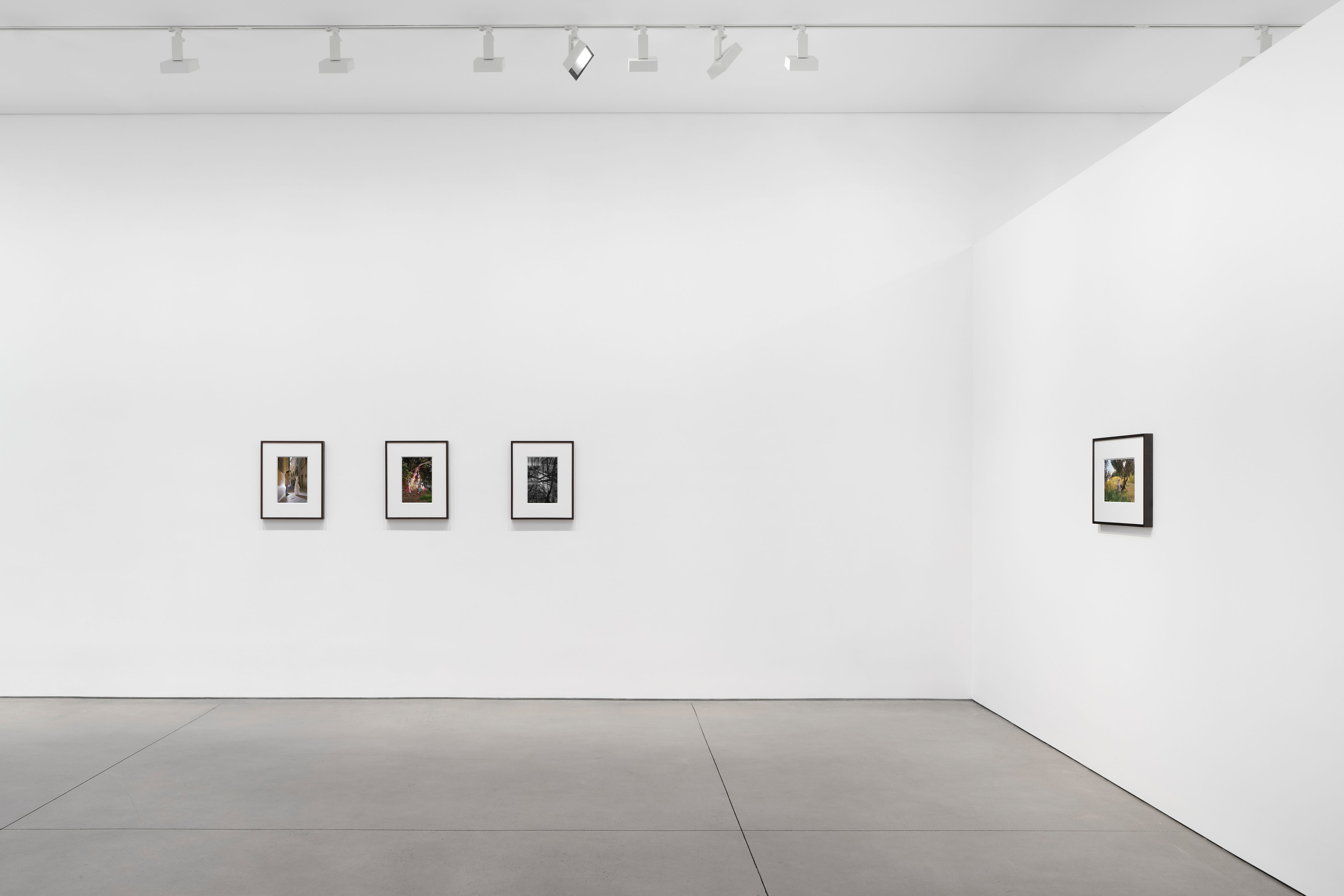 Torbj&oslash;rn R&oslash;dland