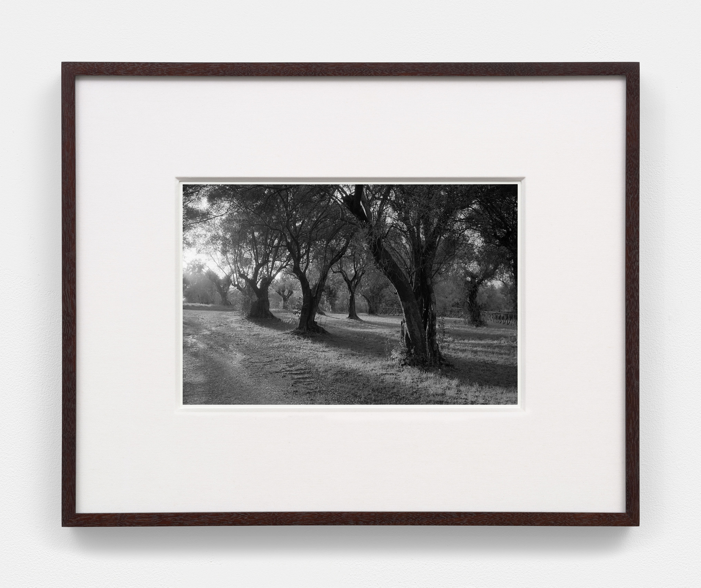 Torbj&oslash;rn R&oslash;dland, Reenactment, 2024 - 2026