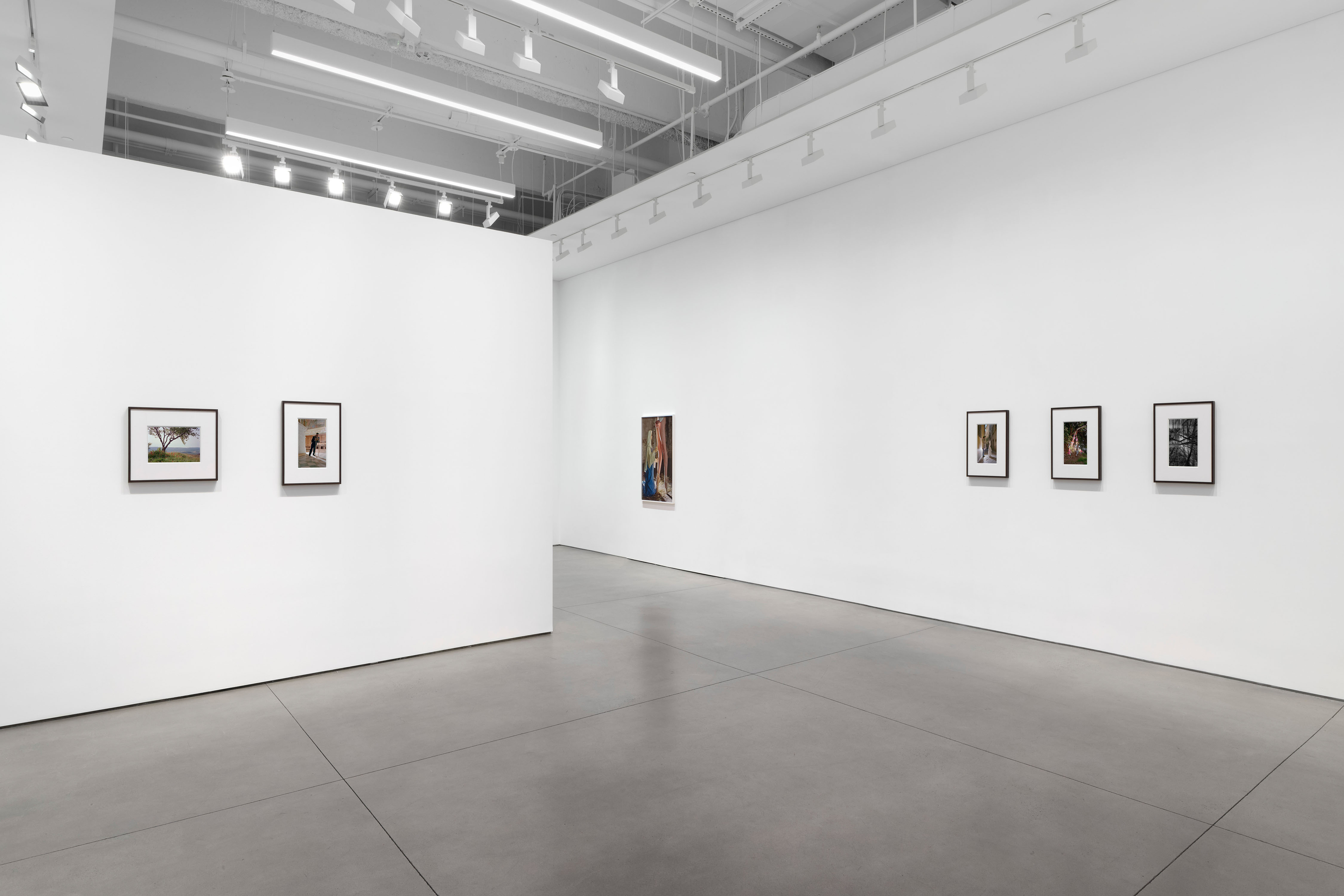 Torbj&oslash;rn R&oslash;dland