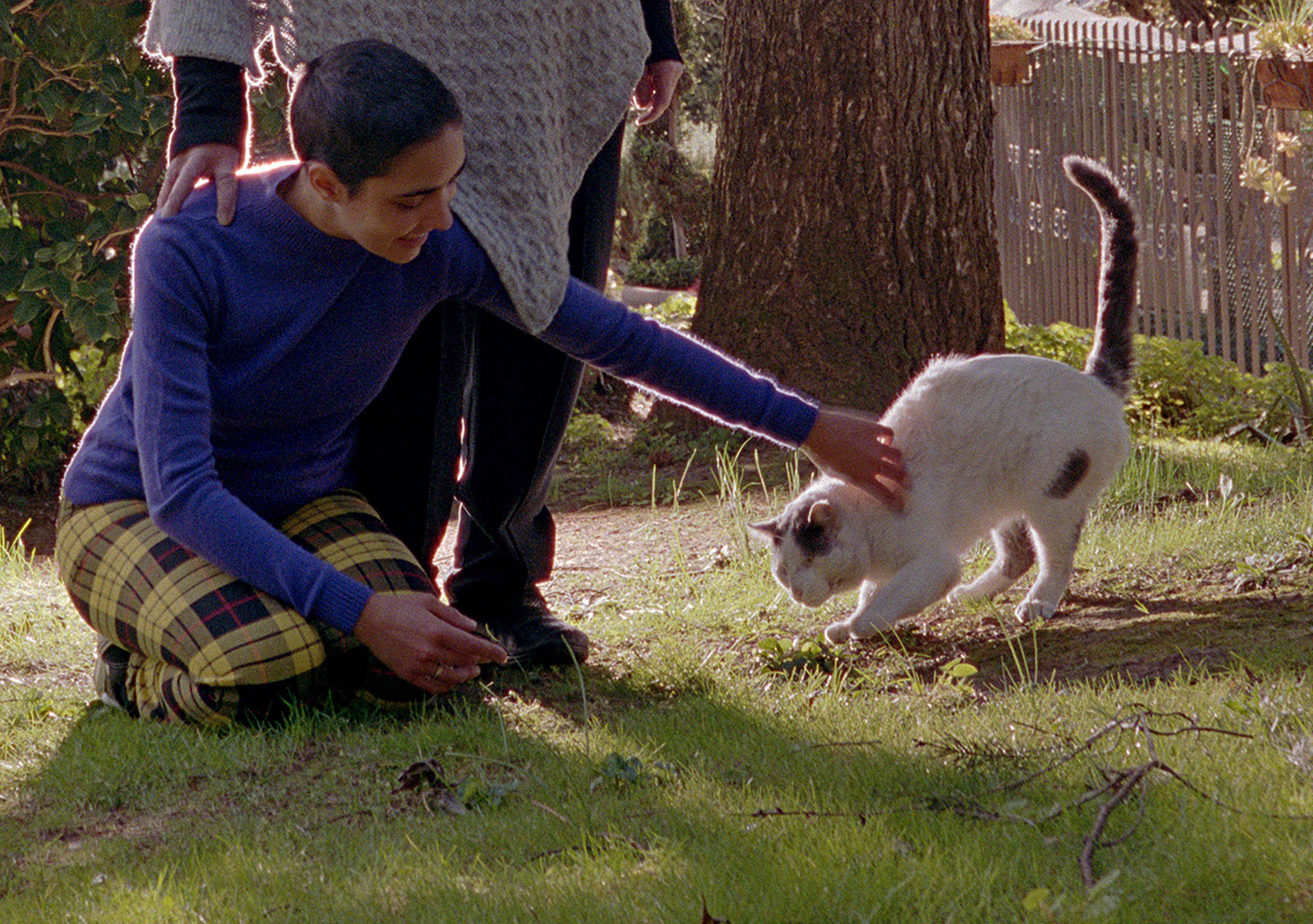 Torbj&oslash;rn R&oslash;dland, The Cat Came Back, 2024 - 2026