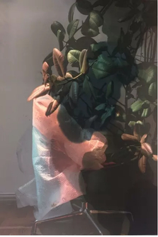 David Maljkovic at MMSU, Rijeka, HR