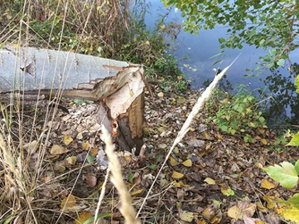 Sarah van Sonsbeeck & Barbara Visser at DordtYart