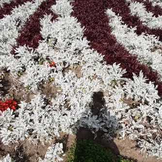 Erik van Lieshout at Paradys, Oranjewoud