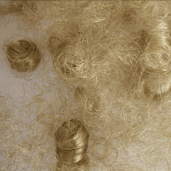 Sarah van Sonsbeeck at Kunsthalle Emden