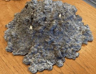 Sarah van Sonsbeeck at Parc Broekhuizen, Leersum