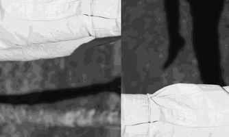 Steffani Jemison at Centre d'Art Contemporain Genève