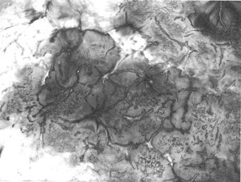 Bingyi, Cascade(detail), 2010, ink on rice paper, 20 x 13 m. Photo: Gao Jing. Courtesy of the artist and Smart Museum of Art, University of Chicago