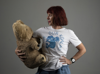 Walking in A Forest of Koalas