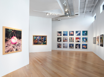 MANUAL (Hill / Bloom)