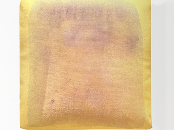 'Soft Return' opening 5-7pm Fri 20 Feb