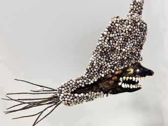 'Where Matter Breathes' opening 5-7pm Fri 8 May