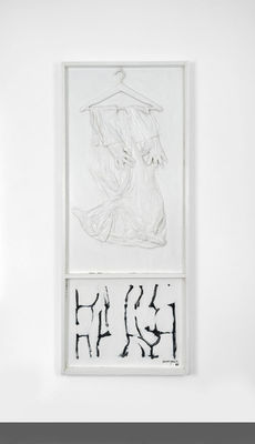 Michel Journiac, Armoire pour un Corps dépeuplé, 1966