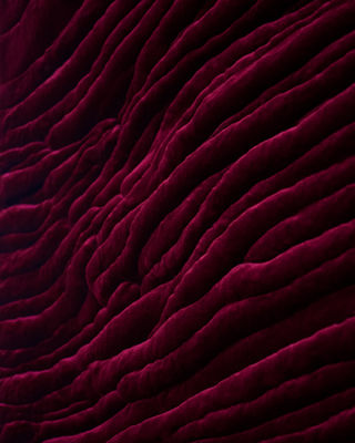 Velvet Rage - Filippo Moroni, a cura di Domenico de Chirico