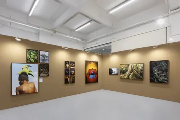 MIA PHOTO FAIR, Brasiliae