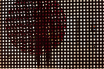 tumulto, turbilhão, lucia koch