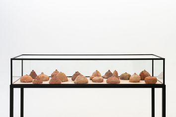 meu corpo: território de disputa, galciani neves