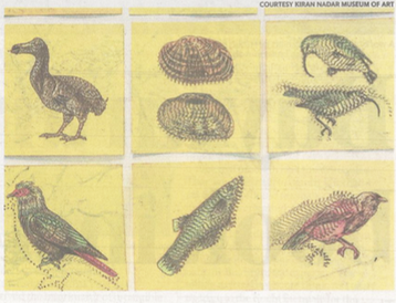 A practice rooted in land, its people