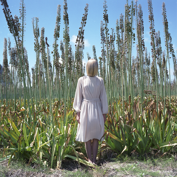 Untitled (0444),&nbsp;2014,&nbsp;Chromogenic print,&nbsp;28 x 28 inches,&nbsp;Edition of 10