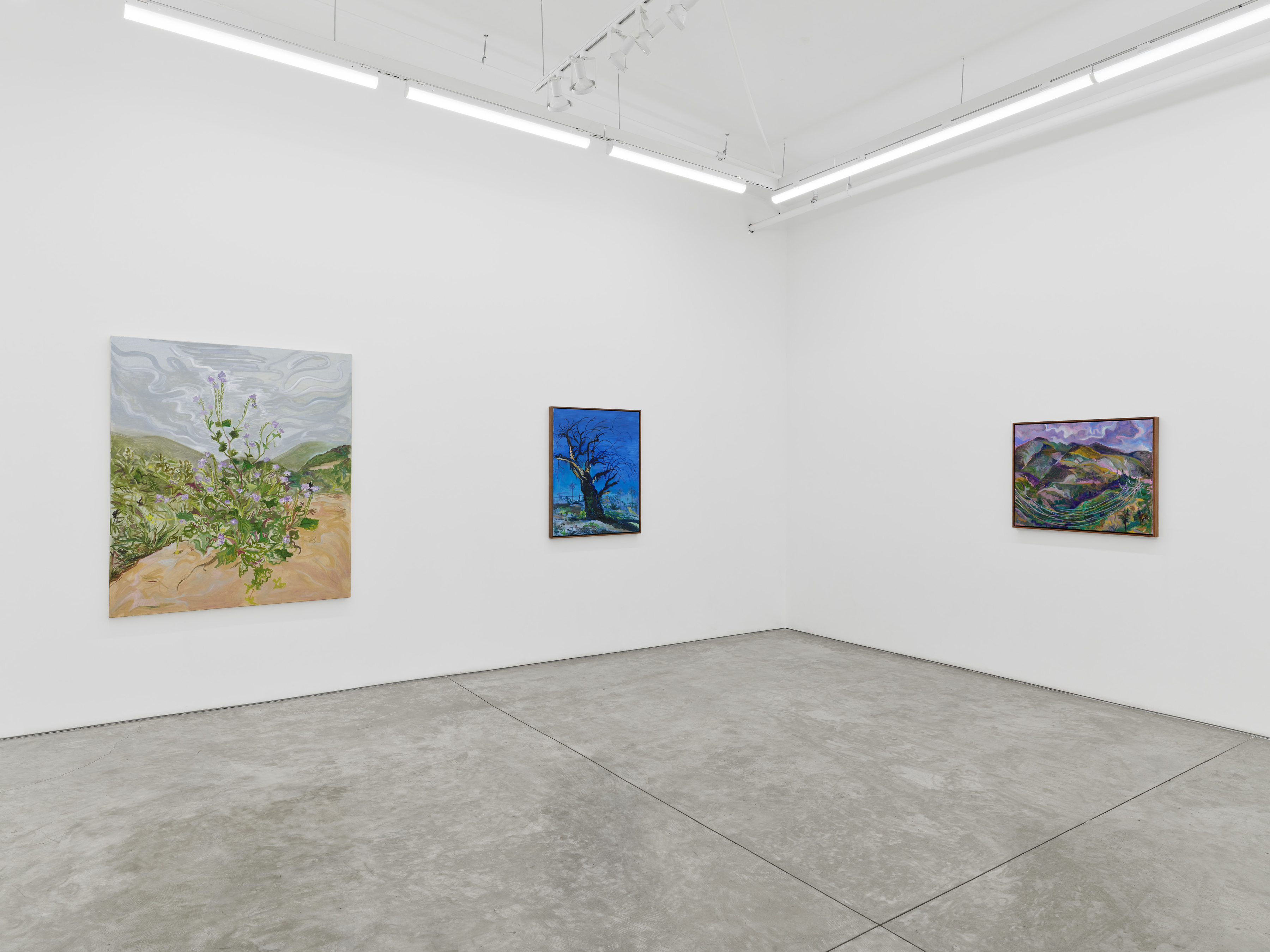 Installation view of Mira Dancy's "Mourning's Orbit"