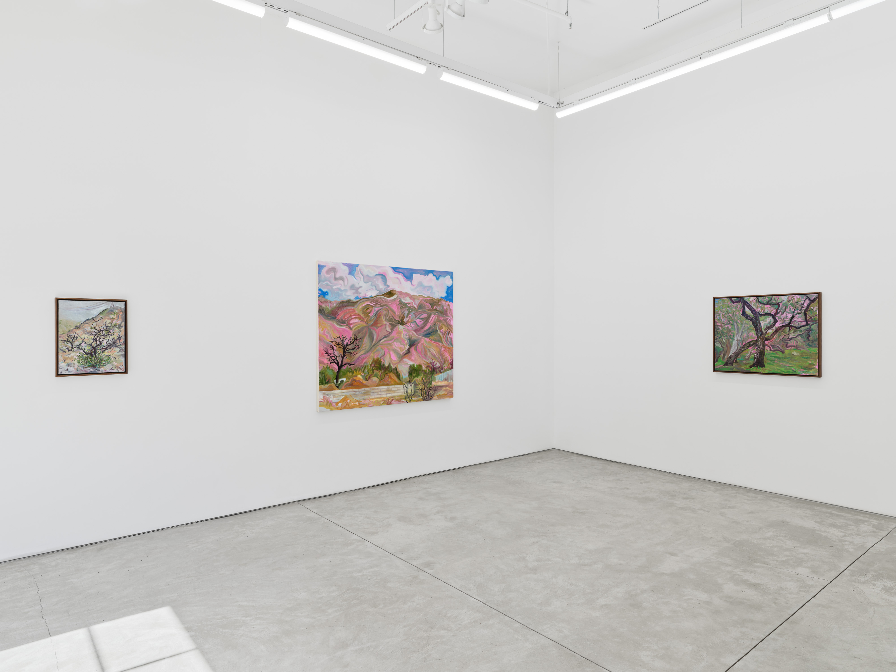 Installation view of Mira Dancy's "Mourning's Orbit"