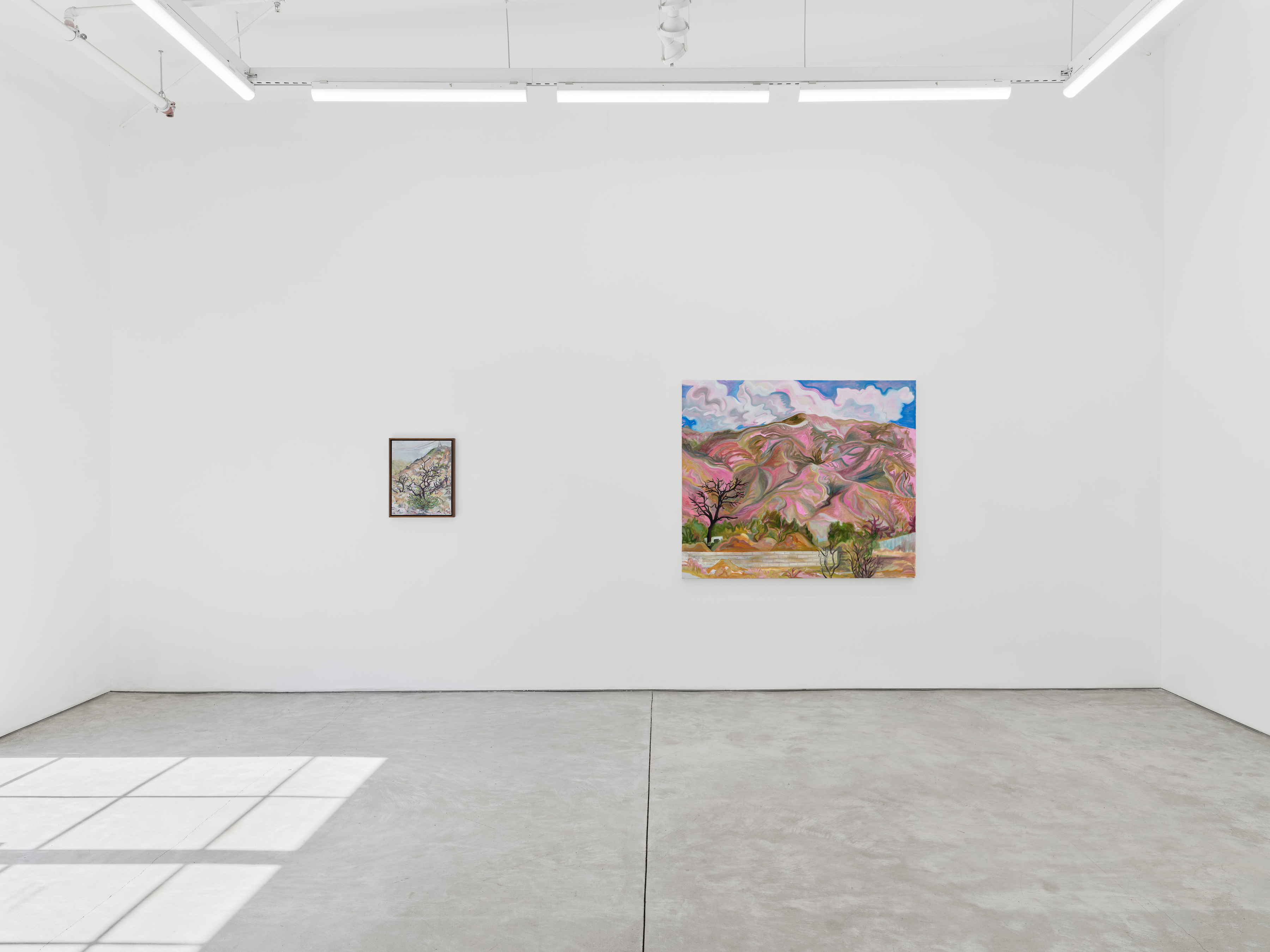 Installation view of Mira Dancy's "Mourning's Orbit"