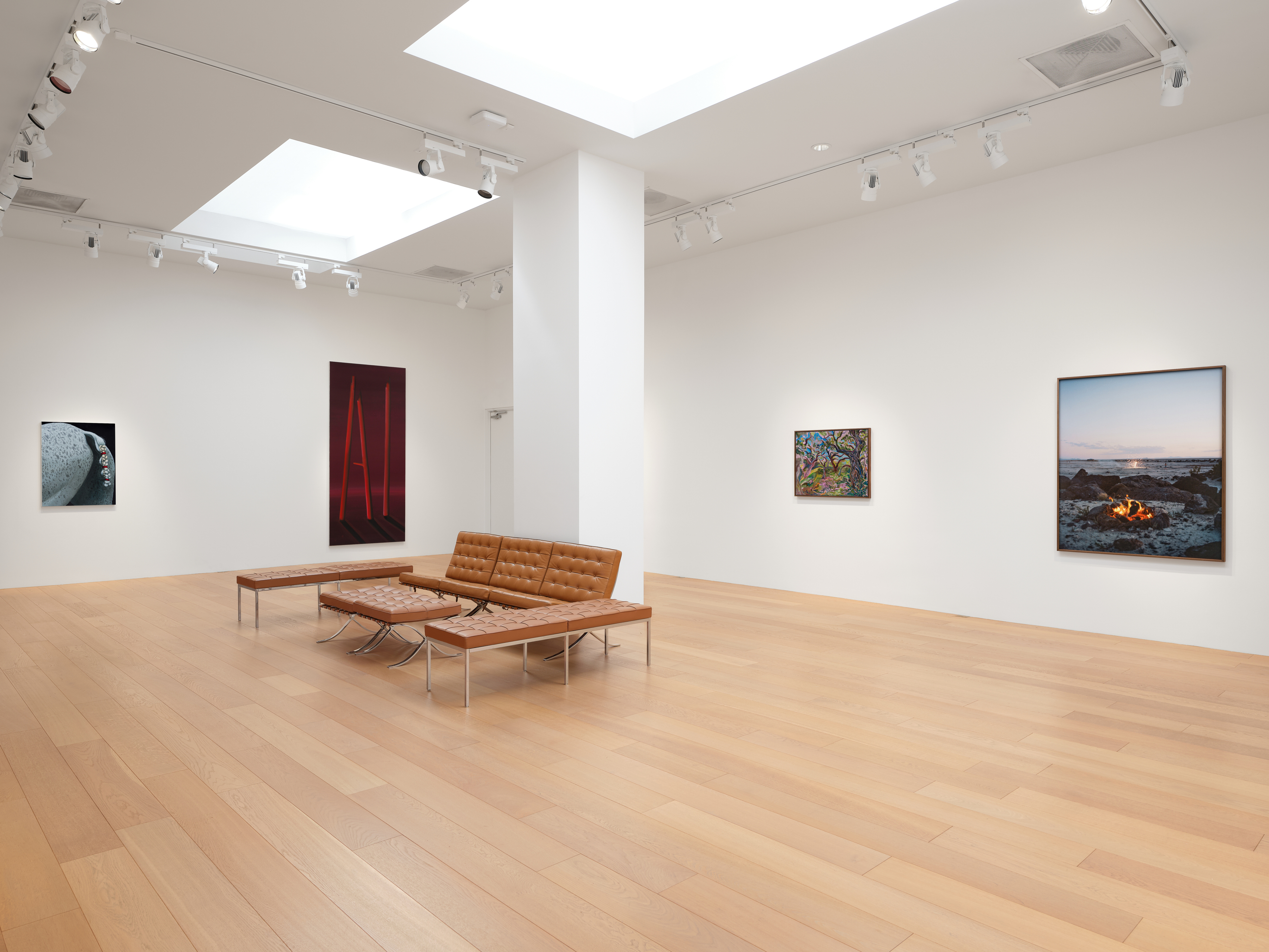 Installation view of "Blush"