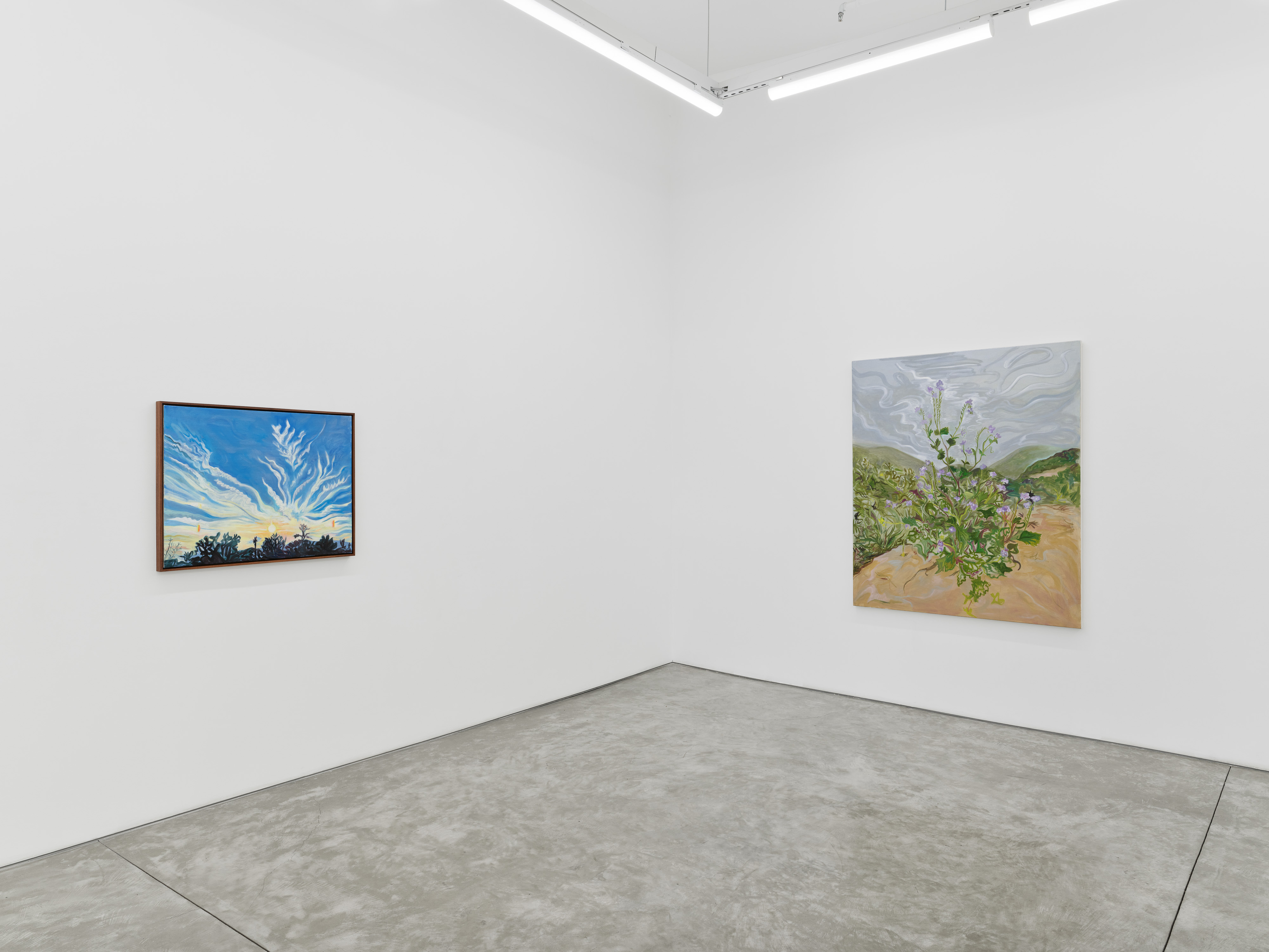 Installation view of Mira Dancy's "Mourning's Orbit"