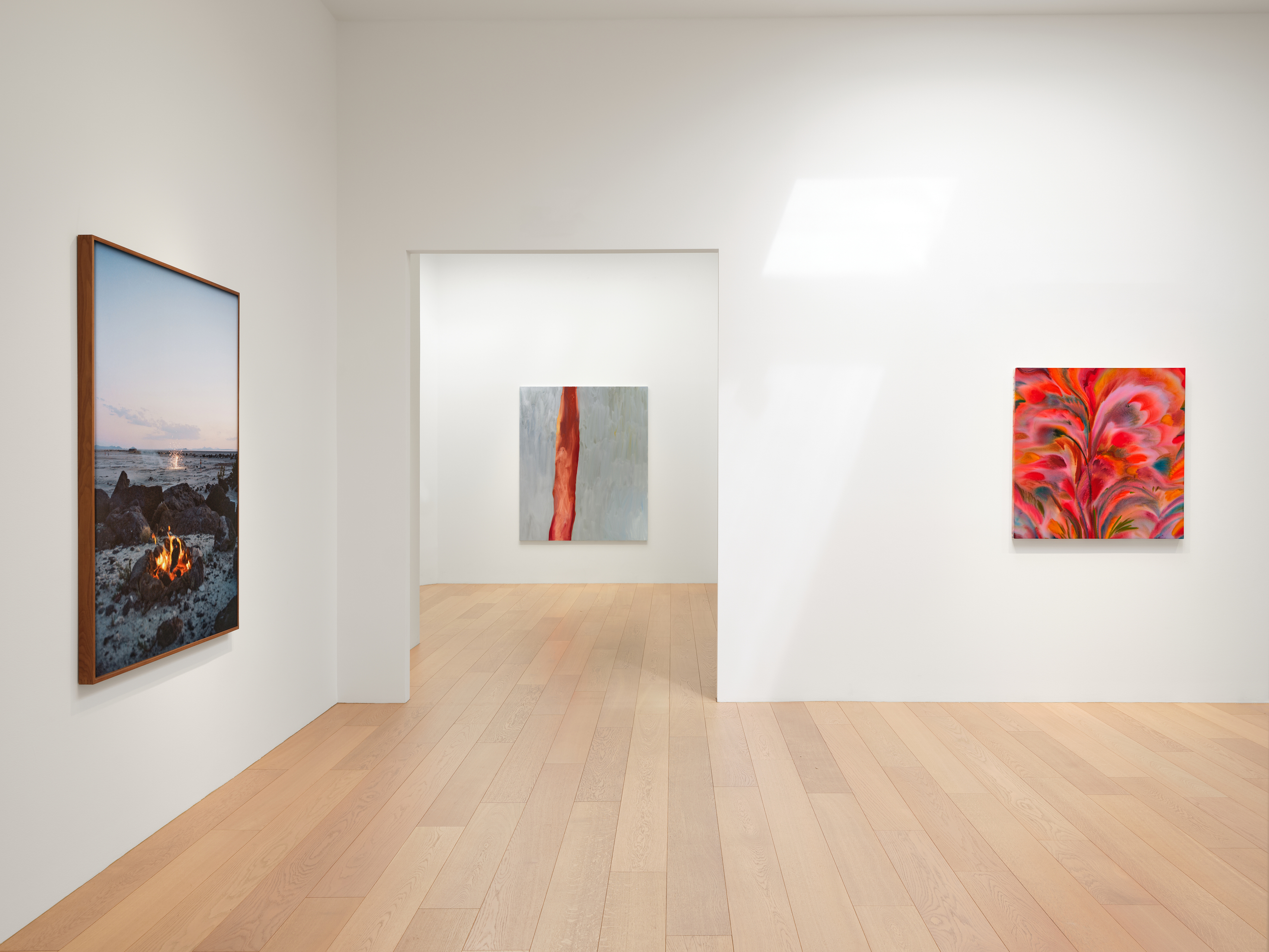 Installation view of "Blush"