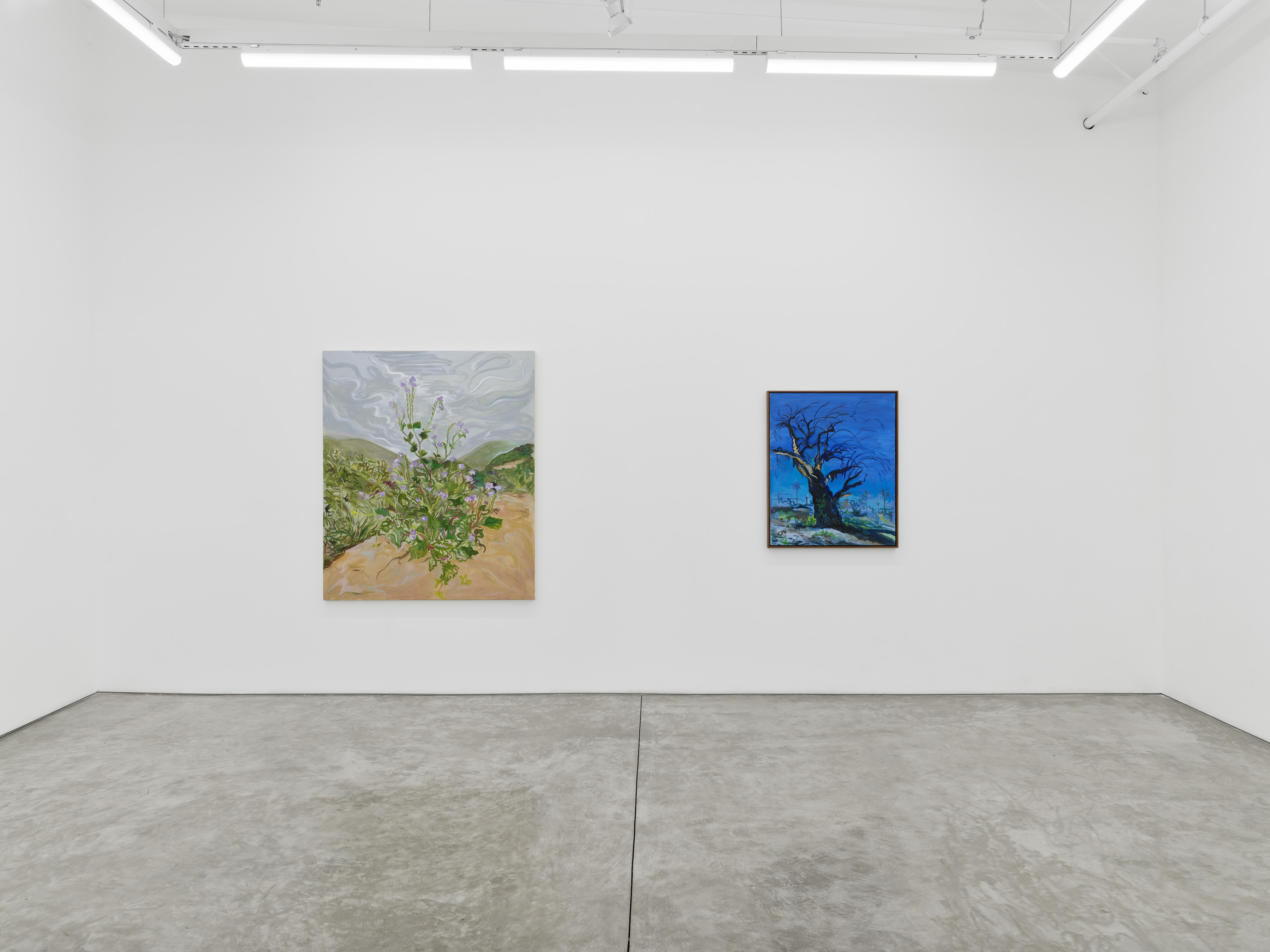 Installation view of Mira Dancy's "Mourning's Orbit"