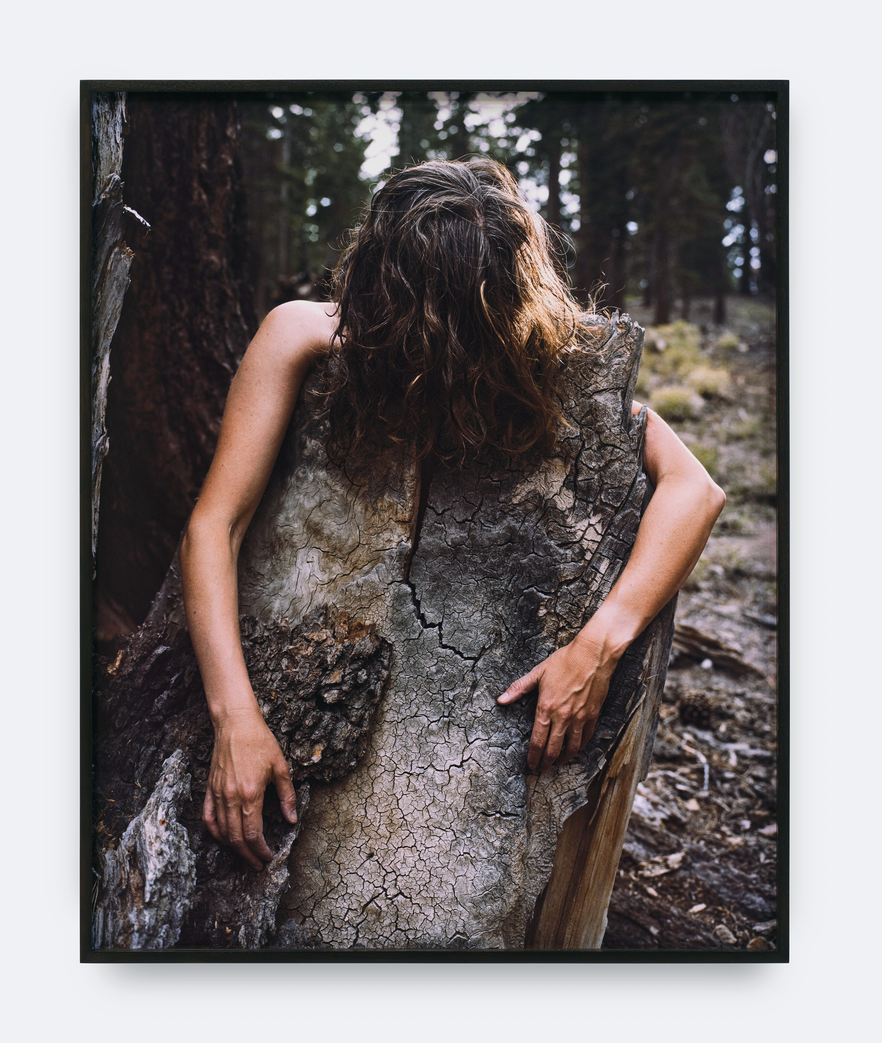 A framed photograph by Melanie Schiff of a woman with brown hair with her arms wrapped around a tree stump.
