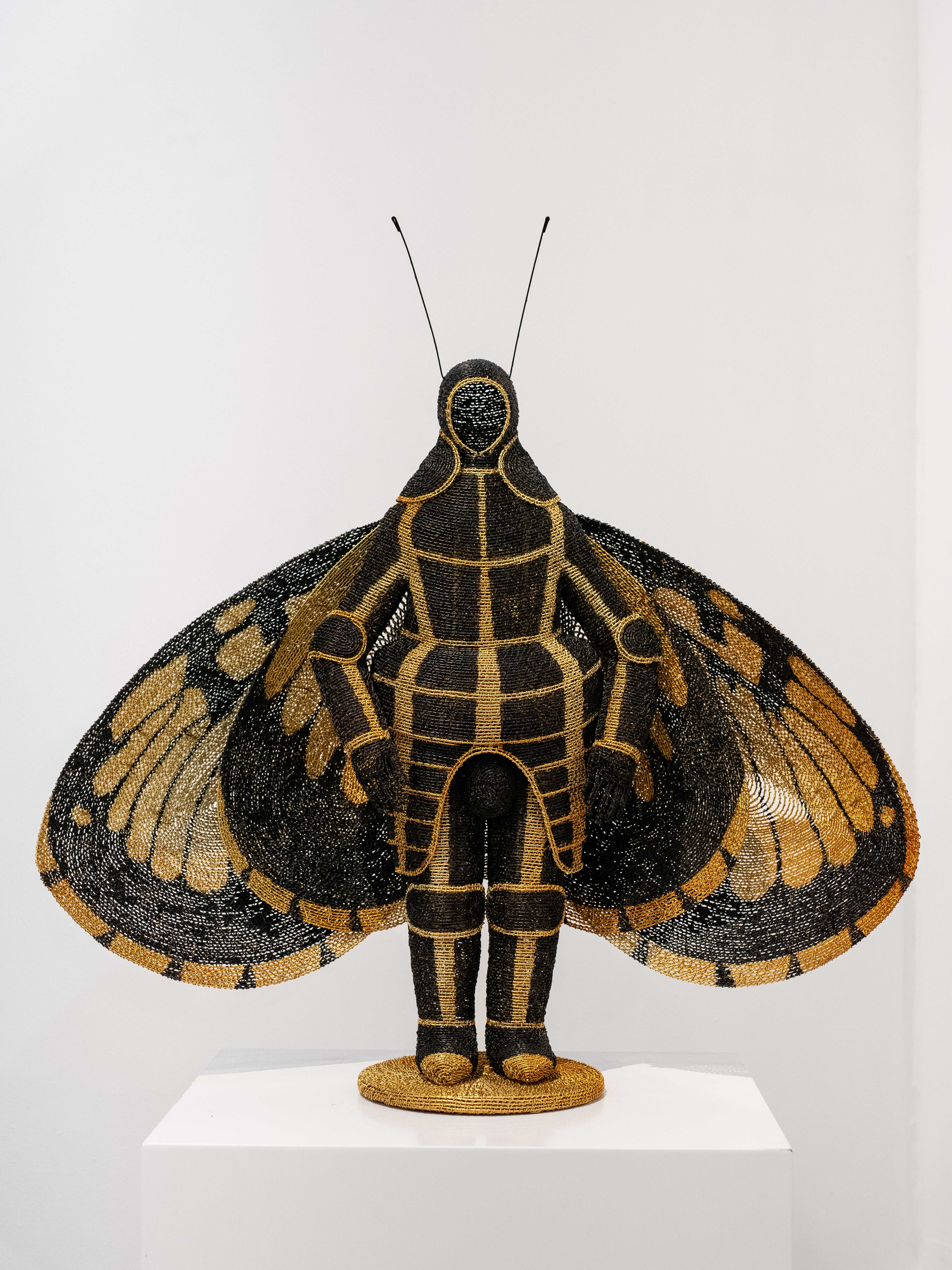 Cape Town Art Fair 2026 -  - Viewing Room - Goodman Gallery