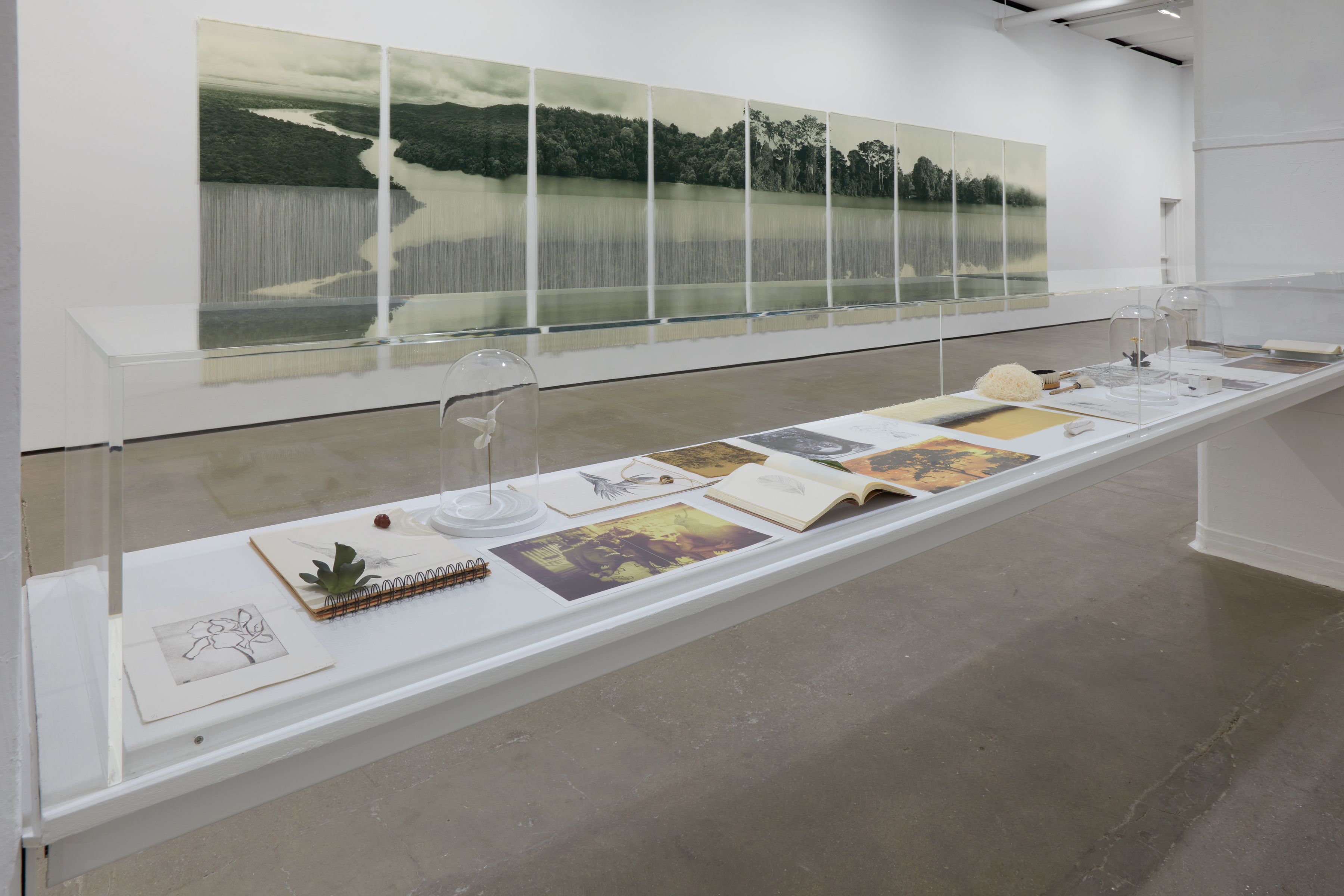 Ana González - RÍO - Exhibitions - Sean Kelly Gallery