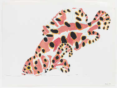 NANCY GRAVES Fish 1971