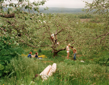 JUSTINE KURLAND, Orchard