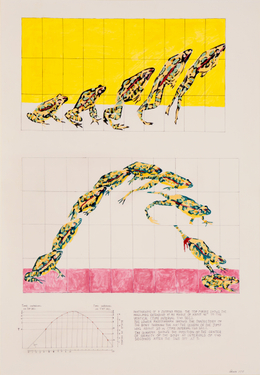NANCY GRAVES Photographs of a Jumping Frog at 1/40 Second 1971