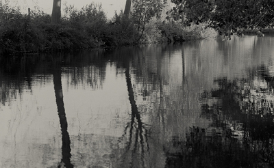 Something for Everyone