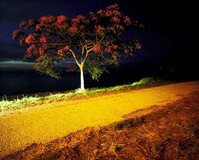 Something for Everyone