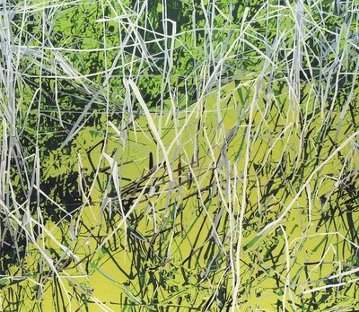 Richard White: Natural Elements