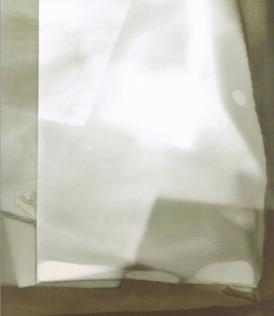 Stephane Graff: Invisible Ink